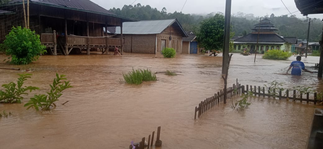 Puluhan Rumah di BNS Lampung Barat Terendam Banjir, Dua Lainnya Rusak Terkena Material Longsor 