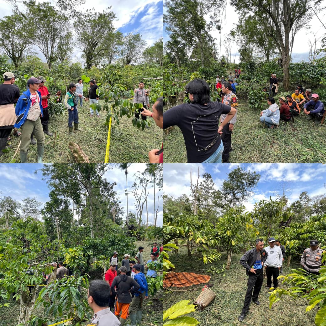 Tragedi di Pekon Jagaraga, Pelaku Habisi Nyawa Korban Secara Brutal