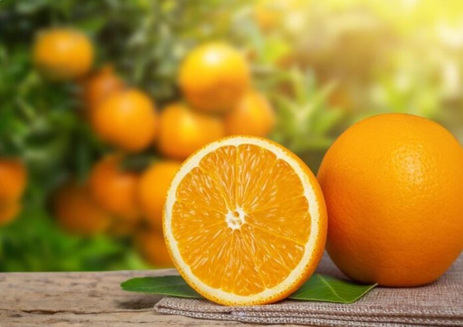 Natur-E Orange: 24 Manfaat Penting untuk Kulit Wajah yang Sehat dan Cerah