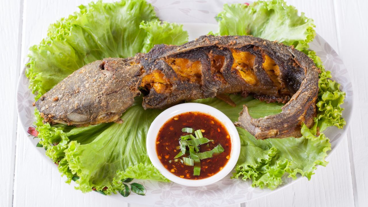 Cara Memasak Lele Lebih Sehat Tanpa Minyak dan Santan