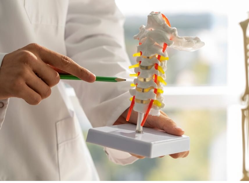 Tulang Panggul: Fondasi Gerak Tubuh, Fungsi Vital, dan Gangguan yang Perlu Diantisipasi