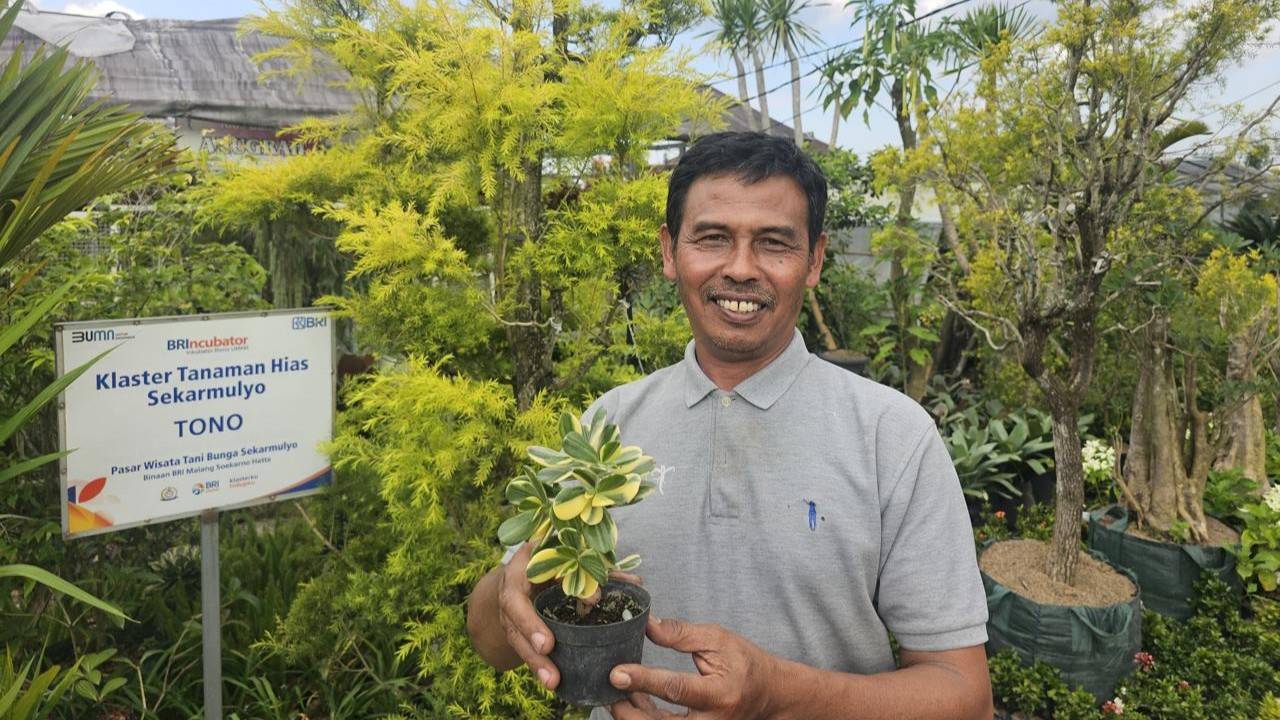 Klaster Tanaman Hias Sekar Mulyo: Bukti Nyata UMKM Naik Kelas Berkat BRI