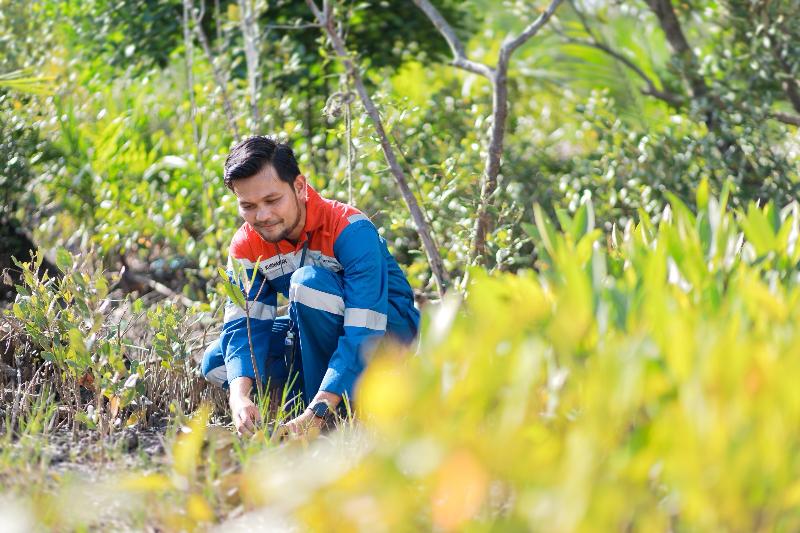 Hutan Lestari Pertamina: Dari Bali hingga Lampung, Alam Pulih dan Ekonomi Bangkit