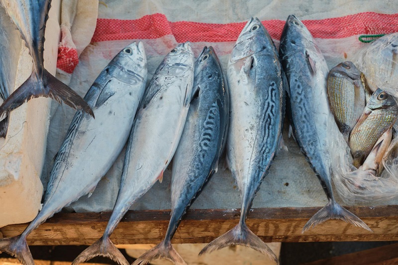 Akibat Cuaca Buruk, Harga Ikan di Pesisir Barat Naik