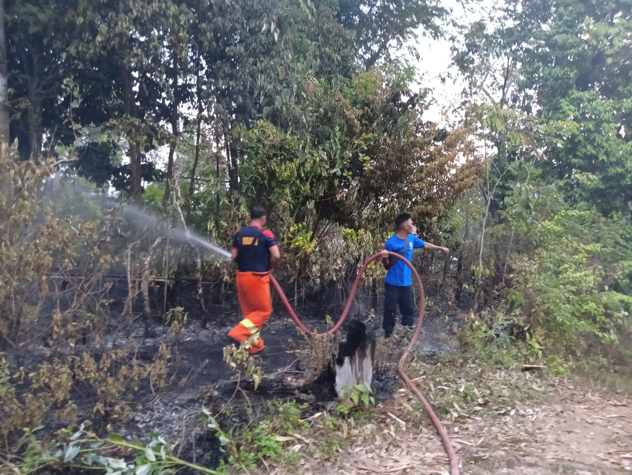 Dalam Sepekan, 2 Peristiwa Kebakaran Terjadi di Pekon Rawas