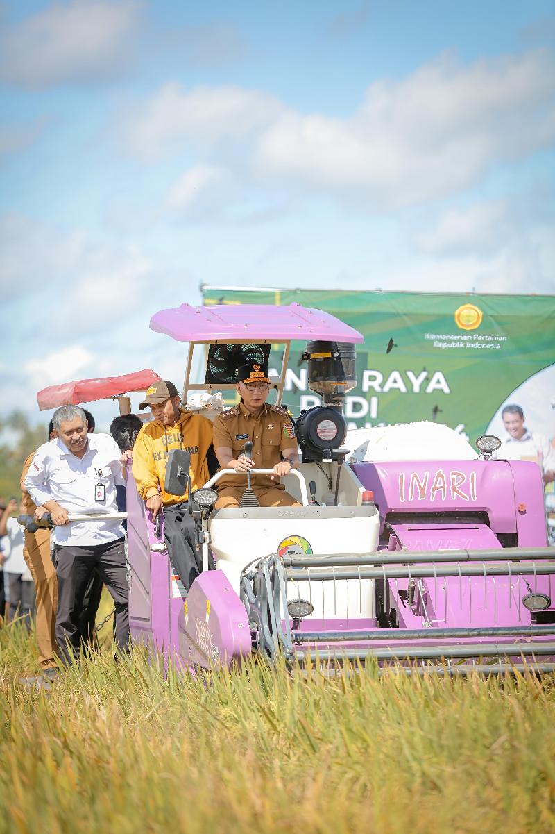 Gubernur Lampung Dukung Program Pertanian Nasional Lewat Panen Raya Padi Serentak