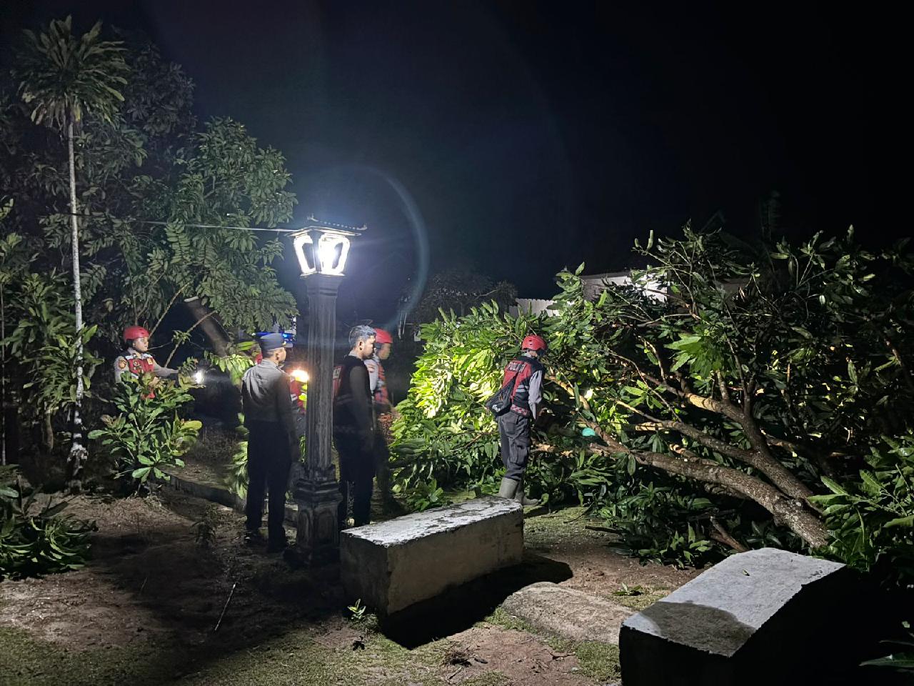 Sigap Evakuasi Pohon Tumbang, Pamapta 1 Polres Lampung Utara Hadir di Bunga Mayang