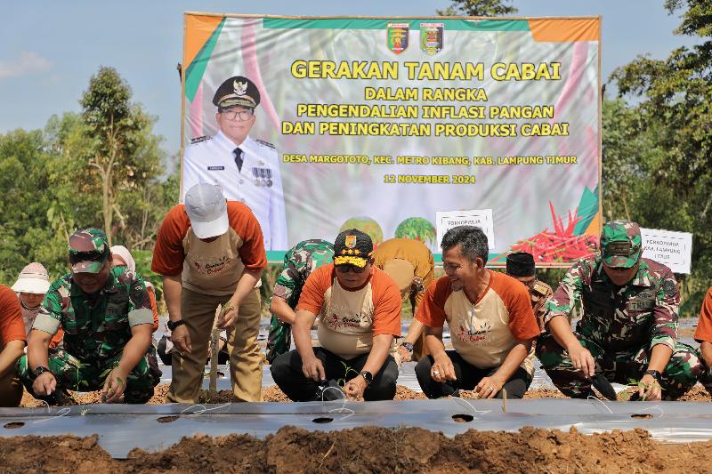 Pengendalian Inflasi Pj Gubernur Lampung Mulai Gerakan Tanam Cabai di Lampung Timur 