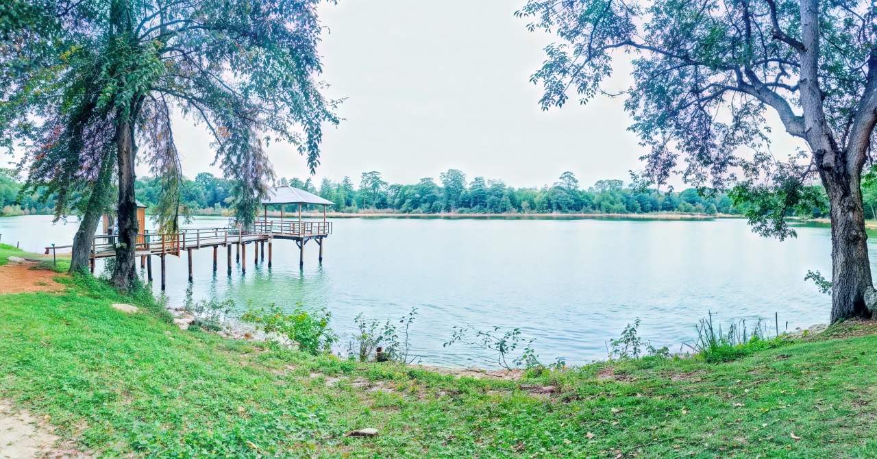 Danau Bekri, Ruang Sunyi di Lampung Tengah yang Menyimpan Pesona Alami