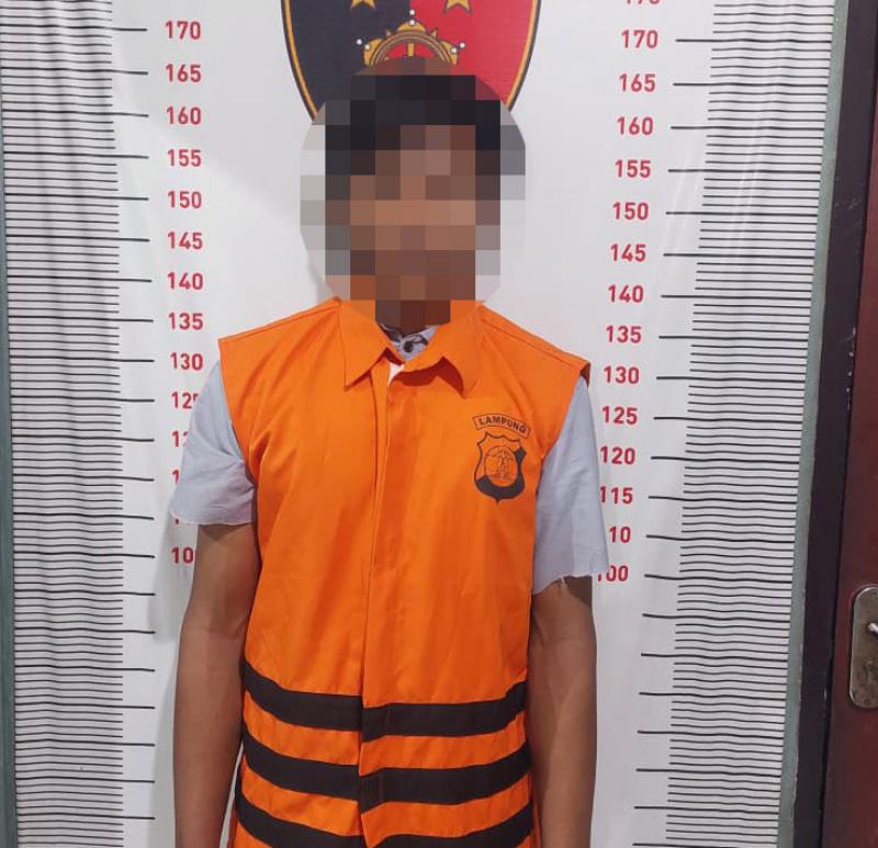 Polisi Ungkap Pelaku Maling Sapi di Ketapang