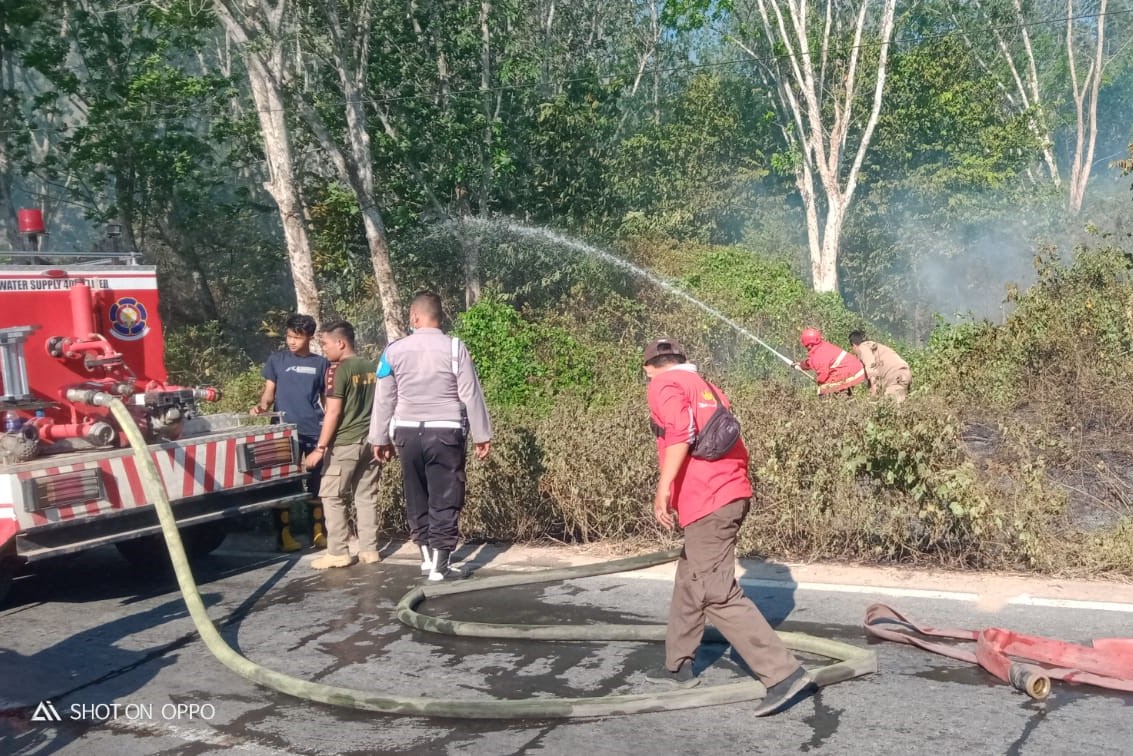 BREAKING NEWS! Lahan Kebun Karet PTPN 7 Trikora Terbakar
