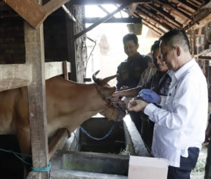 Disbunnak Lampung Utara Punya 500 Dosis Vaksin Rabies, Untuk Hewan Liar dan Peliharan