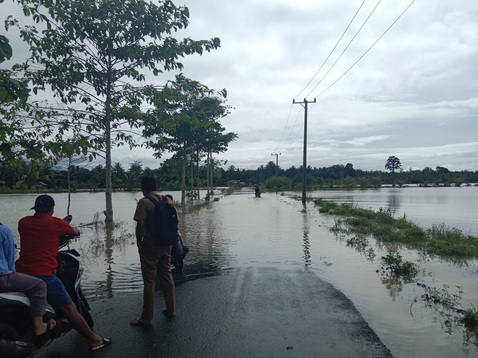 Akses Jalan Menuju Kantor Kecamatan Ngambur Terendam Banjir   
