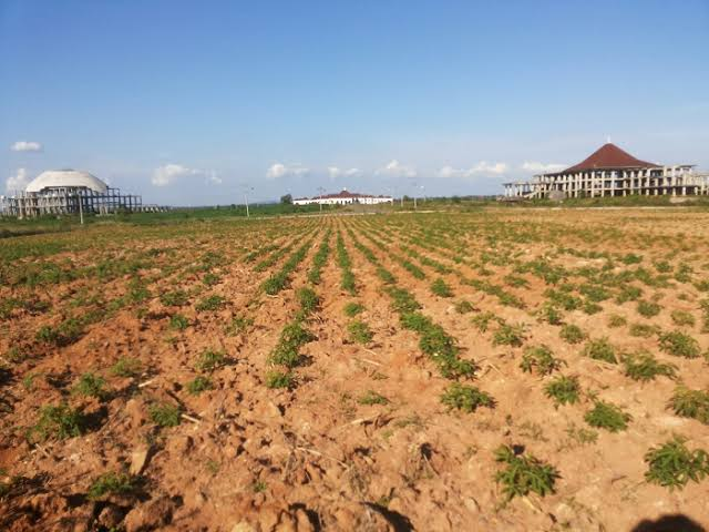 Petani Penggarap Lahan Kotabaru Dikenakan Sewa, Ini Tanggapan DPRD Lampung