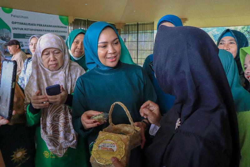 Ketua TP PKK Lampung Dorong Pemanfaatan Lahan Pekarangan untuk Ketahanan Pangan Keluarga