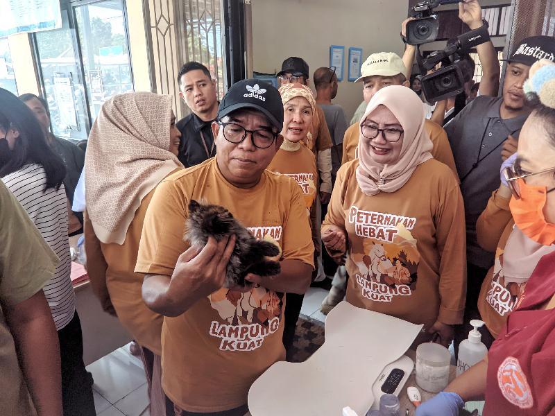 Pj Gubernur Samsudin Dorong Pembangunan Sektor Peternakan dan Pengendalian Rabies di Lampung 