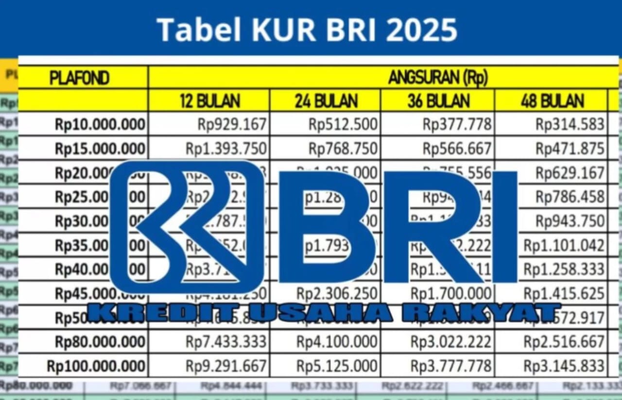 Cicilan Rp20 Ribuan! KUR BRI 2025 Bantu UMKM Dapat Modal Ringan