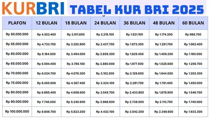 KUR BRI 2025, UMKM Didorong Naik Kelas Lewat Akses Pembiayaan yang Lebih Mudah