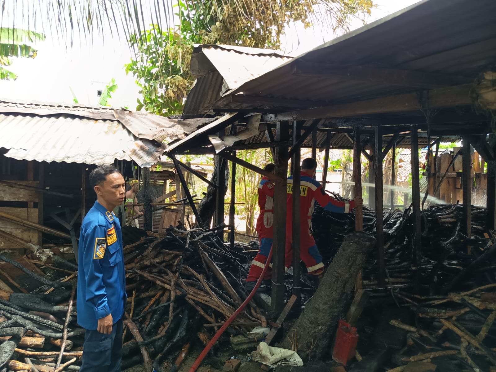 Puntung Rokok Diduga Picu Kebakaran Kayu Bakar di Tanjung Raya Pesisir Barat