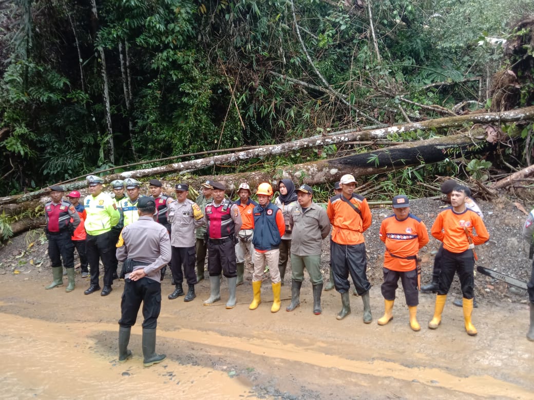 Jaga Kelancaran Lalulintas, Tim Gabungan Bersihkan Material Longsor-Pohon Tumbang di Jalan Liwa-Krui