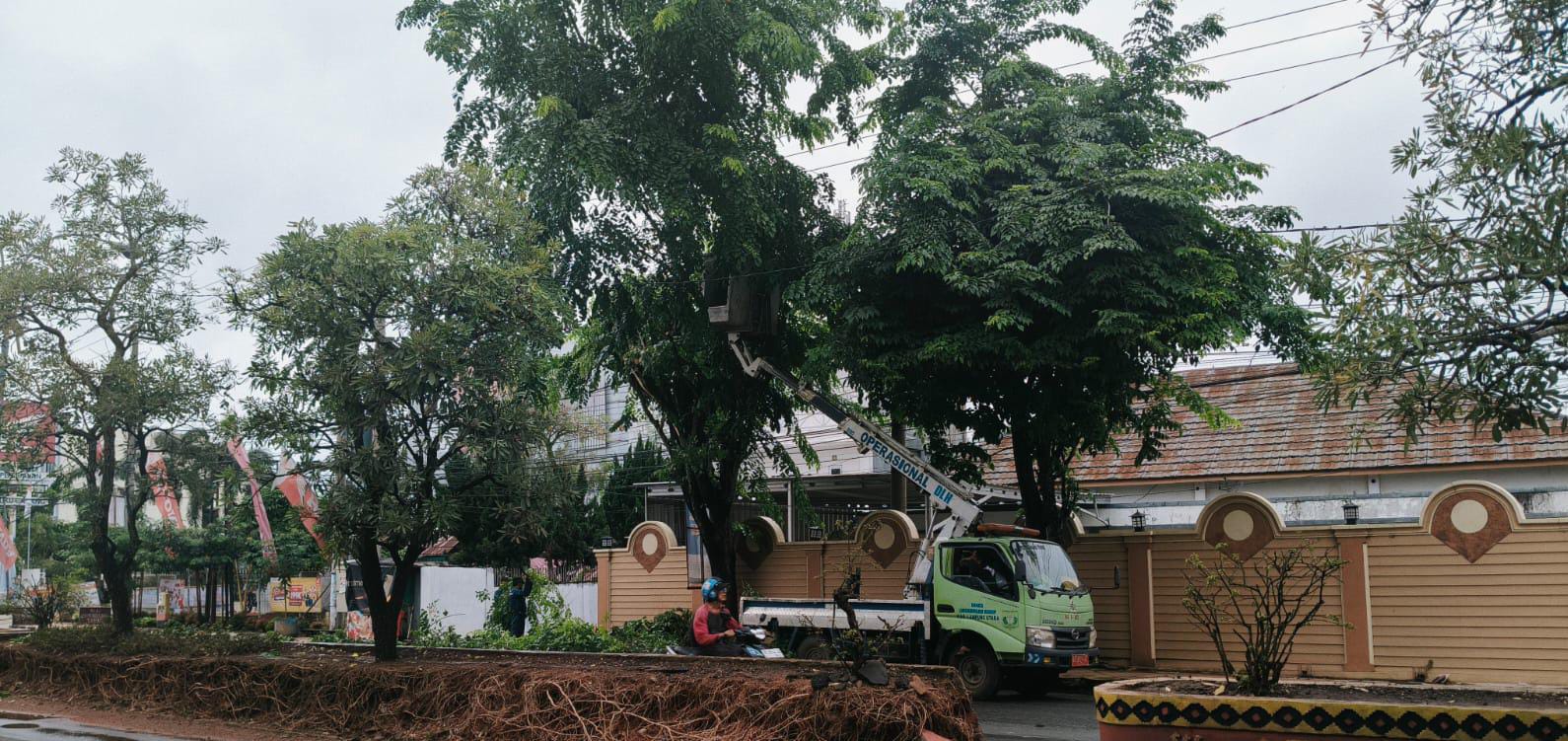 Gerak Cepat, DLH Lampung Utara Pangkas Pohon yang Menjuntai ke Jalan