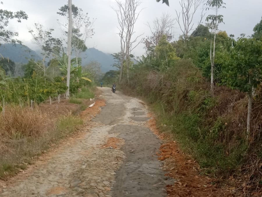 Warga Pemangku Cempedak Pekon Padang Tambak Swadaya Perbaiki Jalan