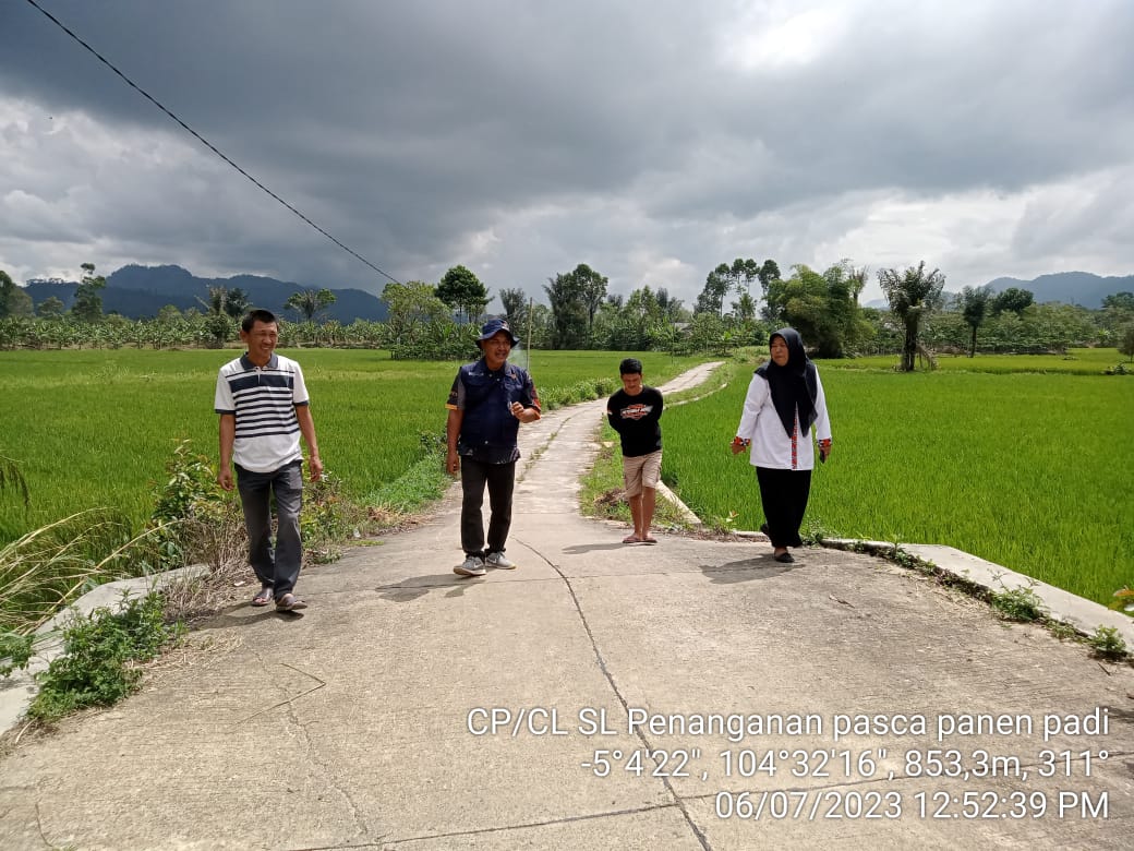 Petugas DTPH Lampung Barat Kroscek Lokasi Bakal CPCK di Kebun Tebu
