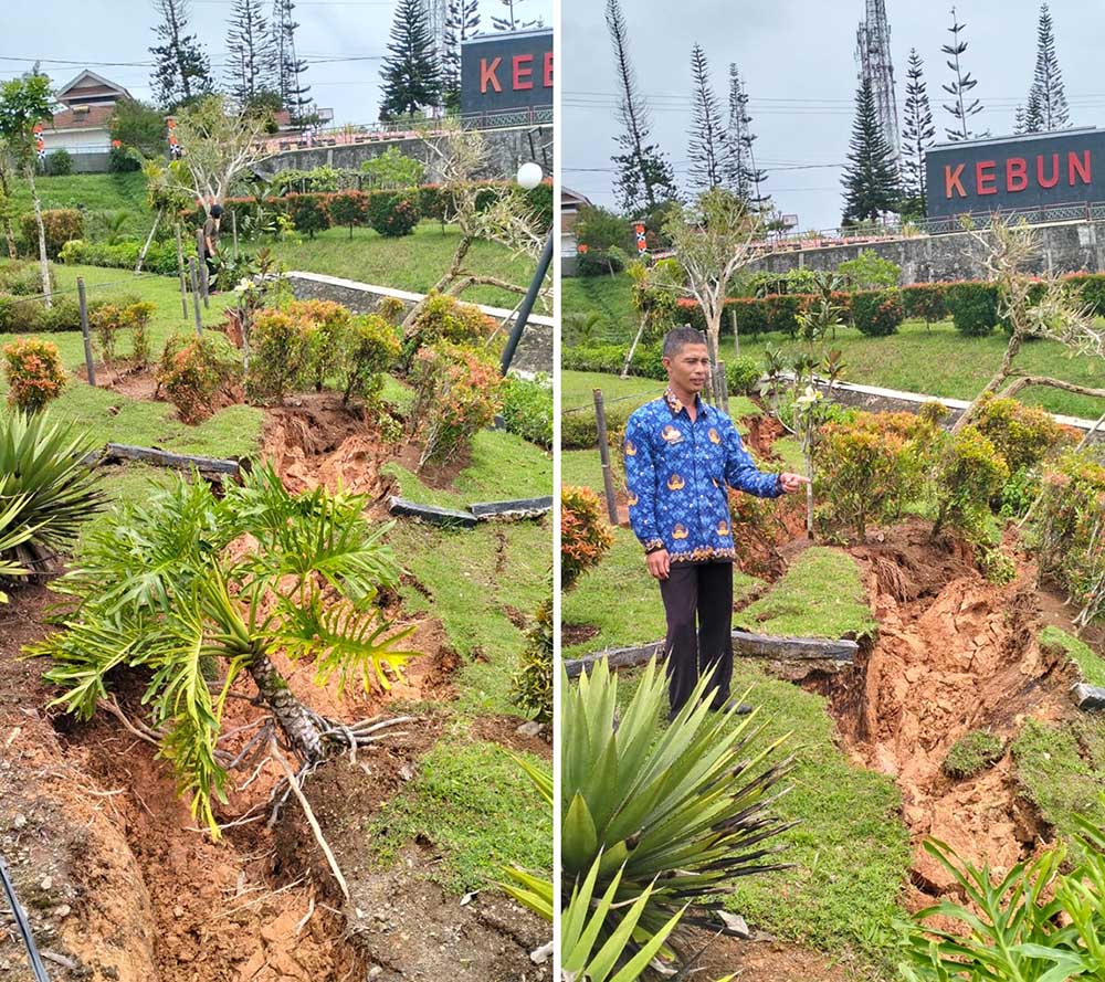 Butuh Biaya Besar, Longsor di Kebun Raya Liwa Belum Bisa Cepat Ditangani 