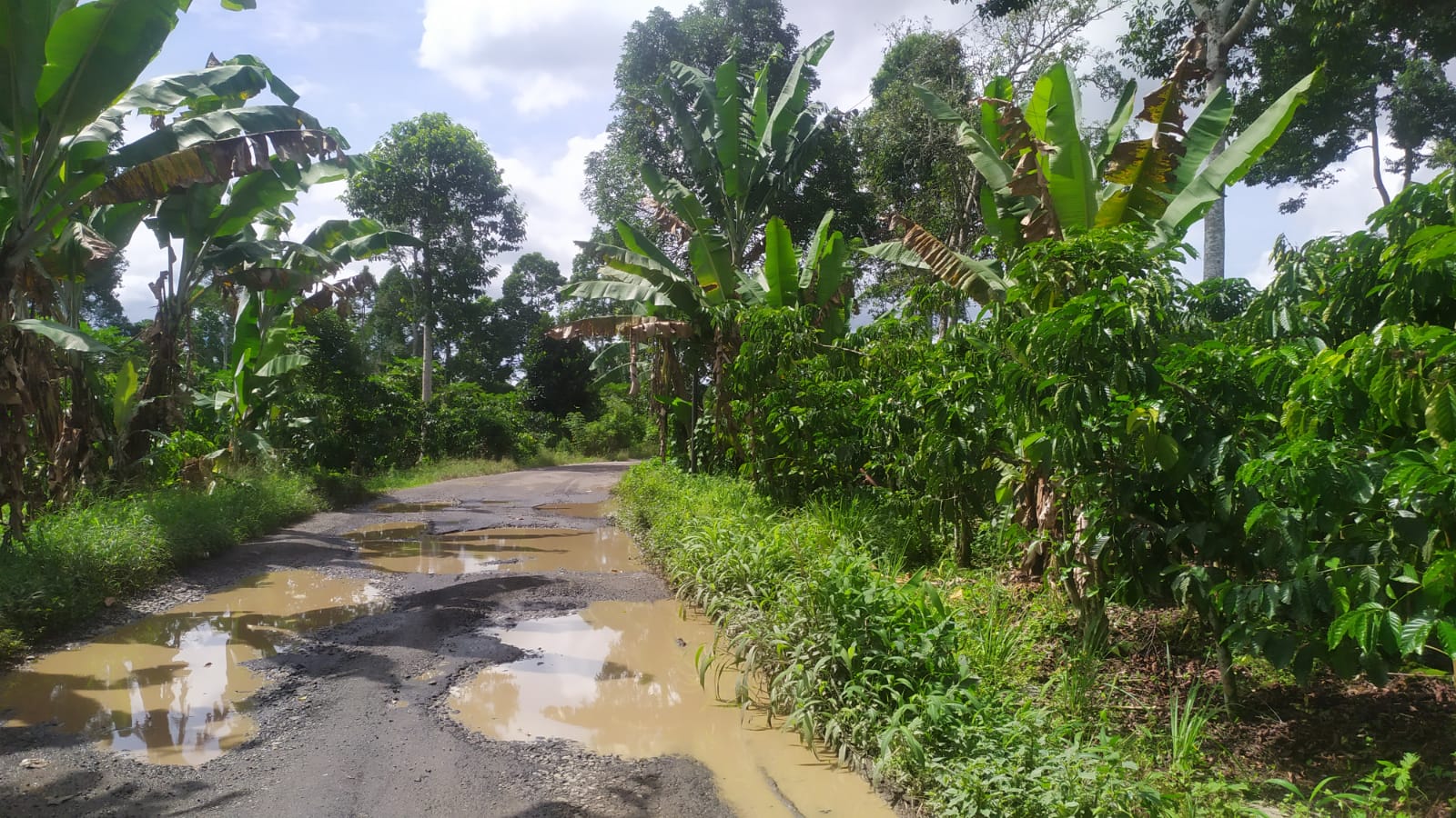 Kondisi Parah, Dua Ruas Jalan Kabupaten Ini Segera Ditangani 