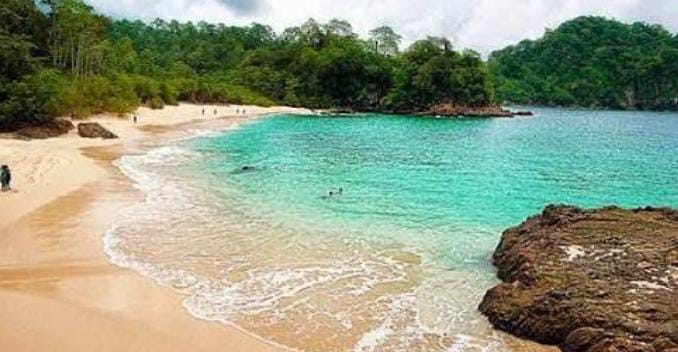 Teluk Hijau, Permata Zamrud Banyuwangi yang Menguji Petualang