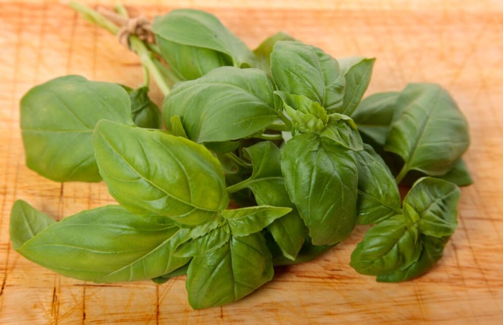 Rahasia Khasiat Daun Kemangi, Tanaman Sederhana dengan Manfaat Besar untuk Kesehatan