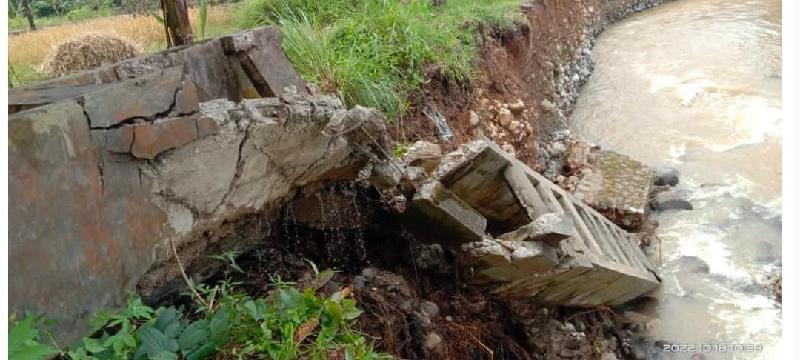 Masyarakat Gedau, Kabupaten Pesisir Barat Berharap Ada Perbaikan Jaringan Irigasi