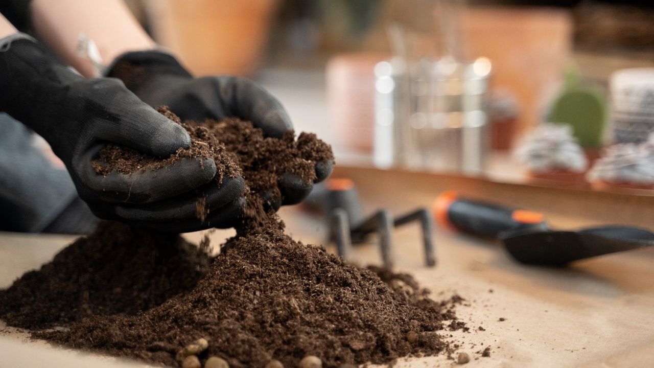 Cara Mengolah Kotoran Kambing Menjadi Pupuk