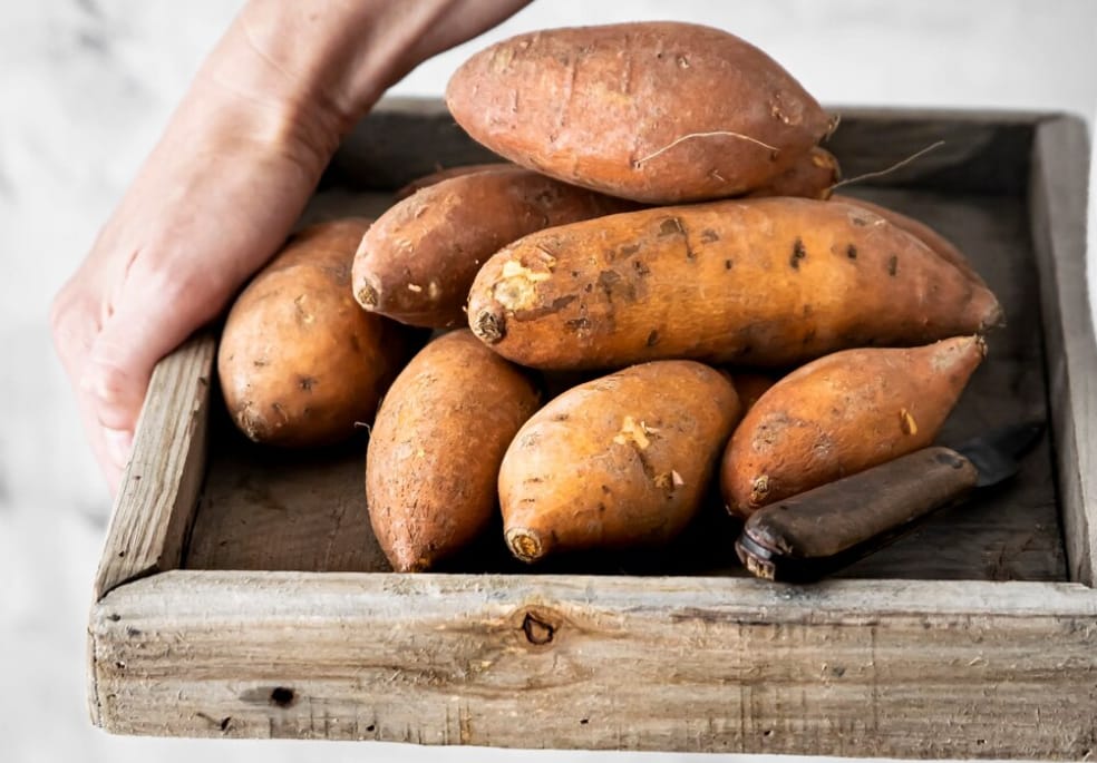 Ubi Jalar dan Asam Lambung: Dukungan Alami untuk Pencernaan yang Lebih Sehat