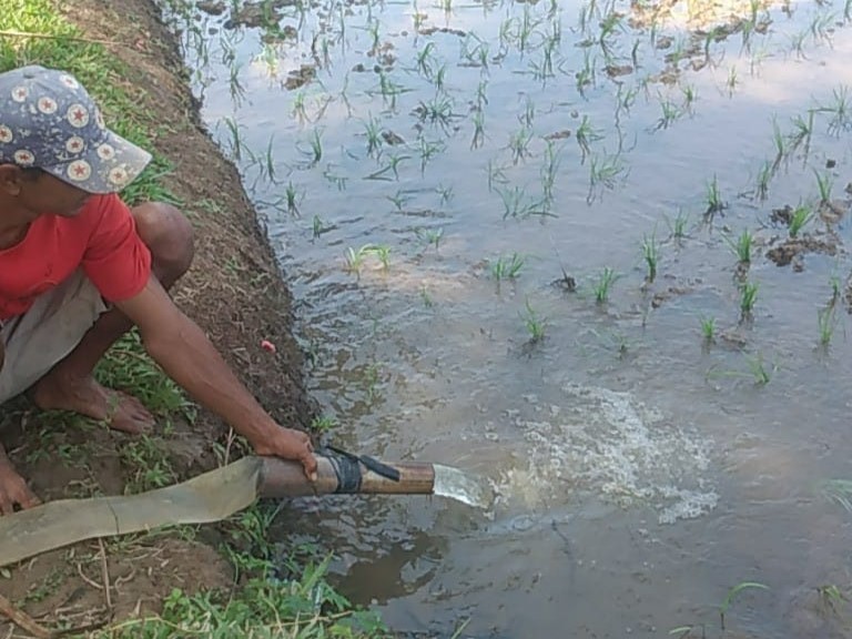 DKPP Pesisir Barat Imbau Petani Maksimalkan Penggunaan Alkon