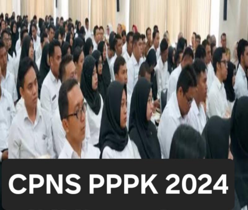 Kabar Baik,Pendaftaran CPNS PPPK 2024 Akan Ditetapkan 2 Minggu Lagi