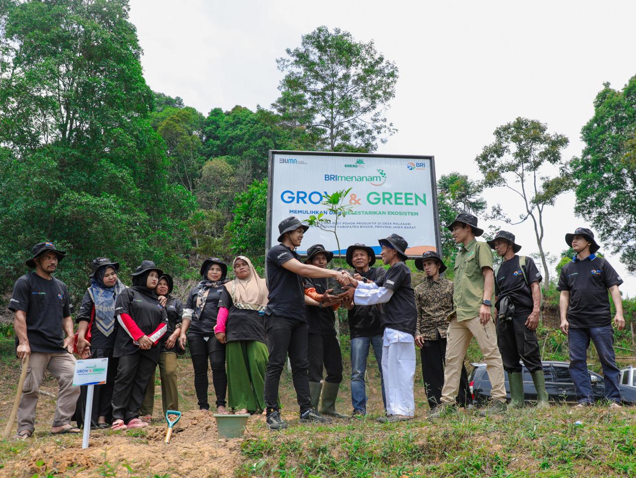 Program BRI Dukung Rehabilitasi Hutan Bekas Tambang Liar di Bogor