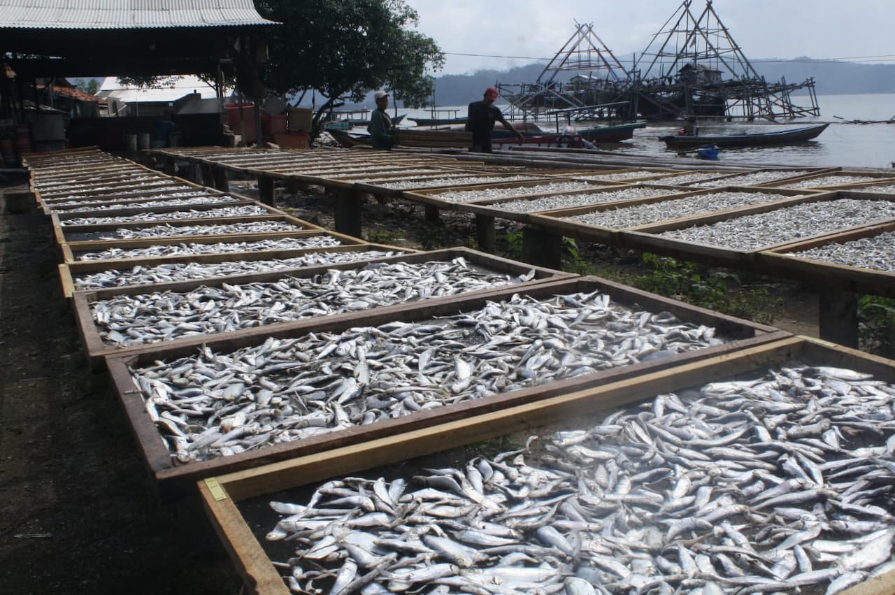 Ikan Asin: Sumber Penghasilan Utama Desa Durian