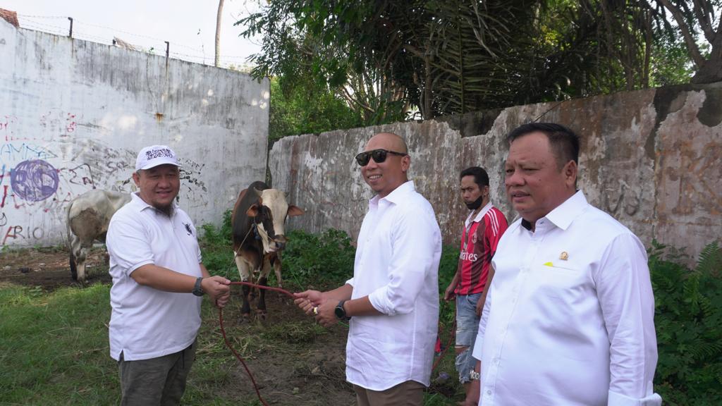 Peringati Idul Adha, Gerindra Lampung Kurban 4 Ekor Sapi