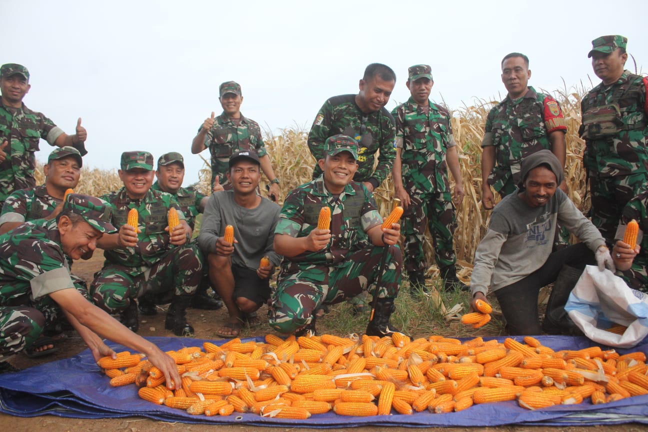 Letkol Tri Arto : Hasil Panen Jagung di Wilayah Koramil Panjang Bagus