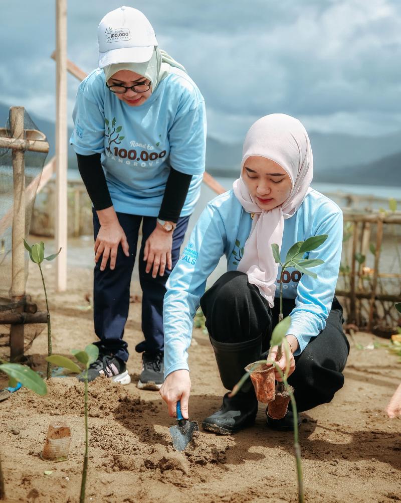 25.000 Mangrove Ditanam, Wagub Lampung Ingatkan Ancaman Kerusakan Ekologis