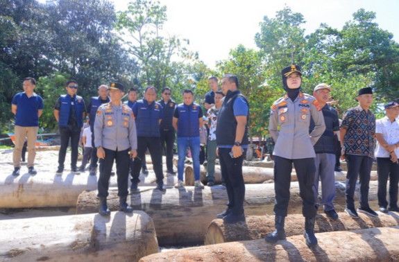 Polda Lampung Perketat Pengawasan Kasus Illegal Logging di Pesisir Barat