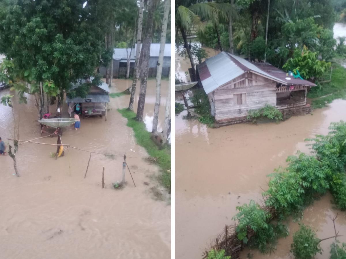Way Pedada Meluap, 10 Rumah Warga Tergenang Banjir