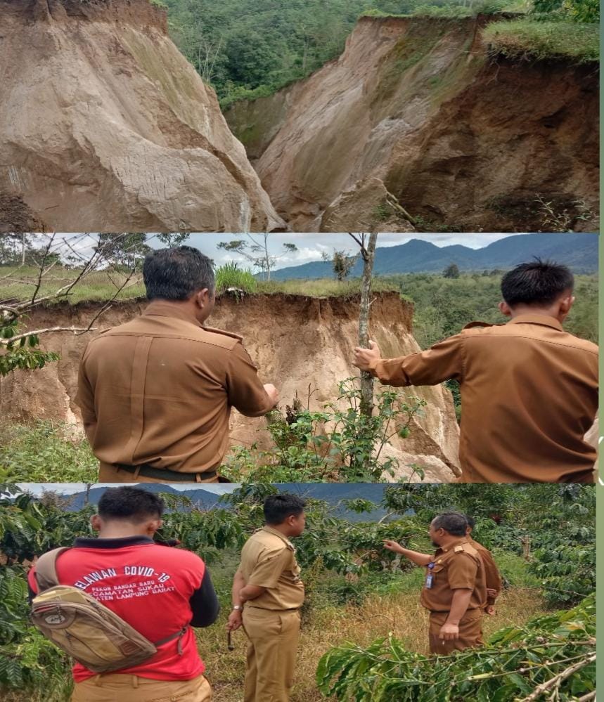 Tebing Longsor, Lahan Perkebunan Warga Bandarbaru Terdampak