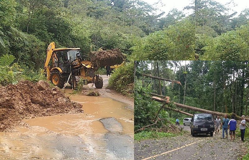 Hujan Deras dan Angin Kencang, Jalan Liwa-Krui Aman dari Bencana