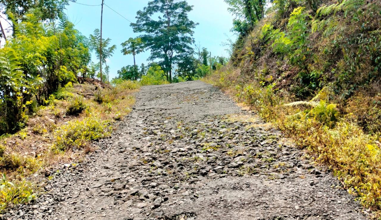 Jalan Penghubung Pekon Ujung-Heniarong Rusak Parah