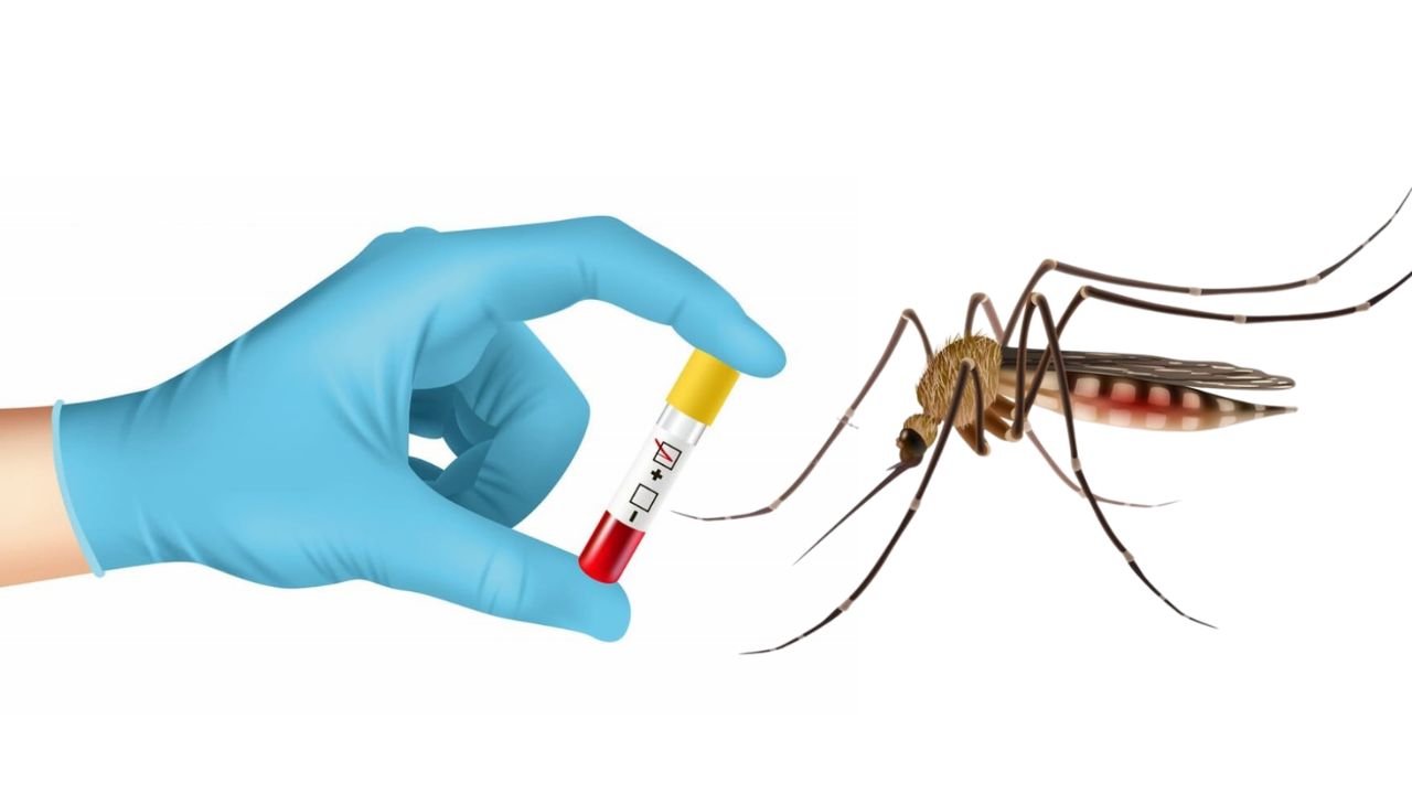 Penyebab Malaria yang Perlu Diwaspadai