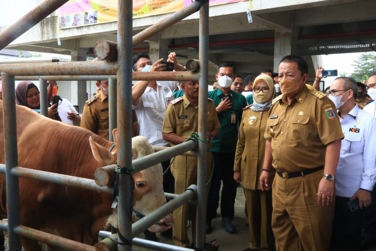 Gubernur Canangkan Kabupaten TubaBa Sebagai Sentra Ternak di Lampung