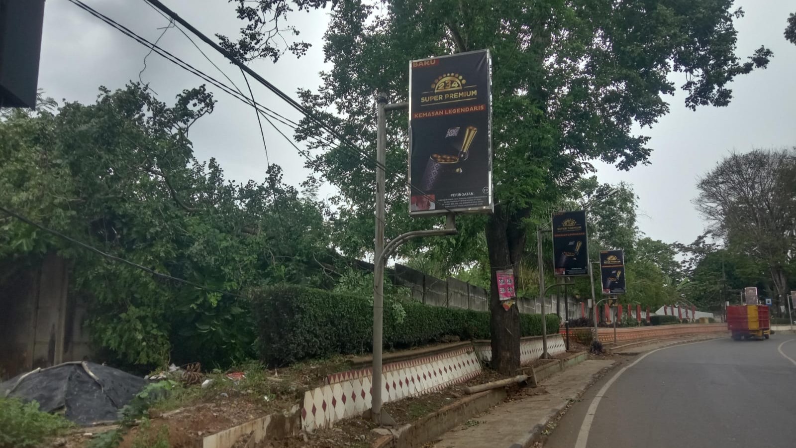 Pohon Tumbang Timpa Kabel di Kotabumi, Sebabkan Gangguan Listrik