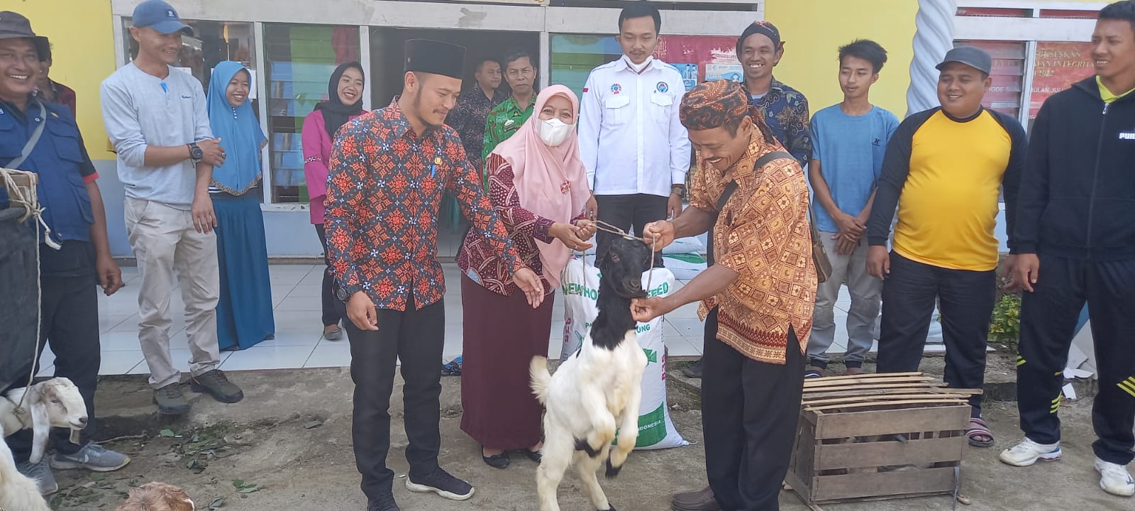 Camat dan Peratin Muarajaya ll Lakukan Penyerahan Simbolis Bantuan Kambing DD